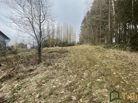 IMG_9707 | Prodej - pozemek pro bydlení, 1 753 m²