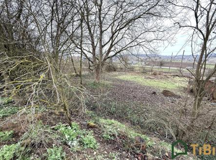 IMG_9892 | Prodej - pozemek pro bydlení, 665 m²