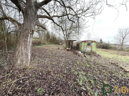 IMG_9843 | Prodej - pozemek pro bydlení, 665 m²