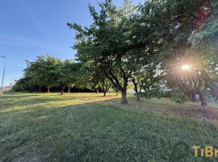IMG_2768 | Prodej - pozemek pro bydlení, 767 m²