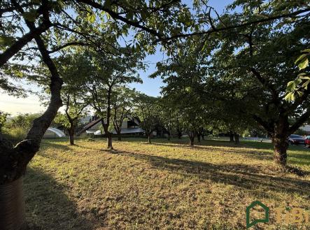 IMG_2779 | Prodej - pozemek pro bydlení, 767 m²