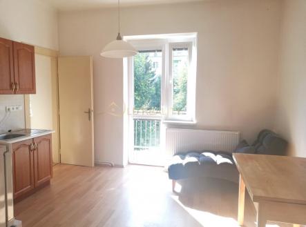 IMG_20190801_164358.jpg | Pronájem bytu, 3+1, 86 m²