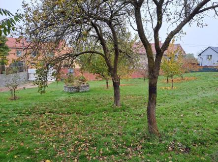 20241030_091922.jpg | Prodej - pozemek pro bydlení, 956 m²