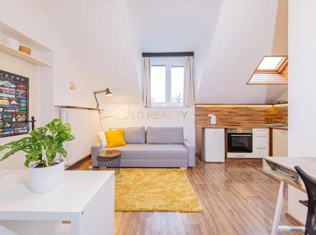 0Q9A4910.jpg | Pronájem bytu, 1+kk, 25 m²