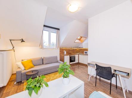0Q9A4902.jpg | Pronájem bytu, 1+kk, 25 m²