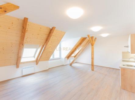 RAW01823-13.jpg | Pronájem bytu, 3+kk, 70 m²