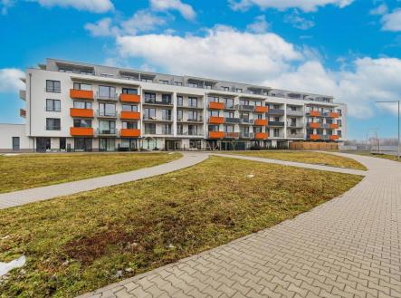 Image_20260211_194848.jpg | Pronájem bytu, 2+kk, 55 m²