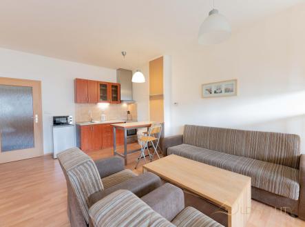 RAW01200-9 - kopie.jpg | Pronájem bytu, 1+kk, 42 m²