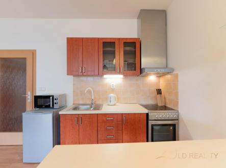 RAW01203-12.jpg | Pronájem bytu, 1+kk, 42 m²
