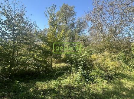 3-img-4640.jpeg | Prodej - pozemek, zahrada, 476 m²