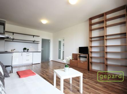 Obytný pokoj | Pronájem bytu, 1+kk, 37 m²