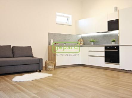 Pronájem bytu, 1+kk, 40 m² obrázek