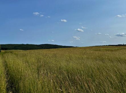 2obrazek-jpeg.jpeg | Prodej - pozemek, zemědělská půda, 8 070 m²