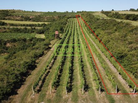vinice-1.0.png | Prodej - pozemek, ostatní, 2 166 m²
