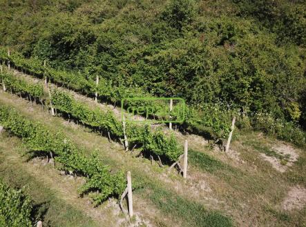 vinice-1.jpg | Prodej - pozemek, ostatní, 2 166 m²