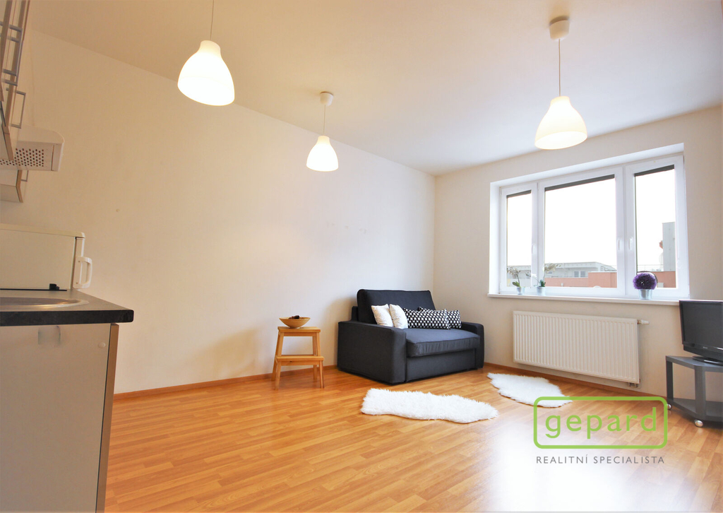 Obytný pokoj s kuchyňskou linkou