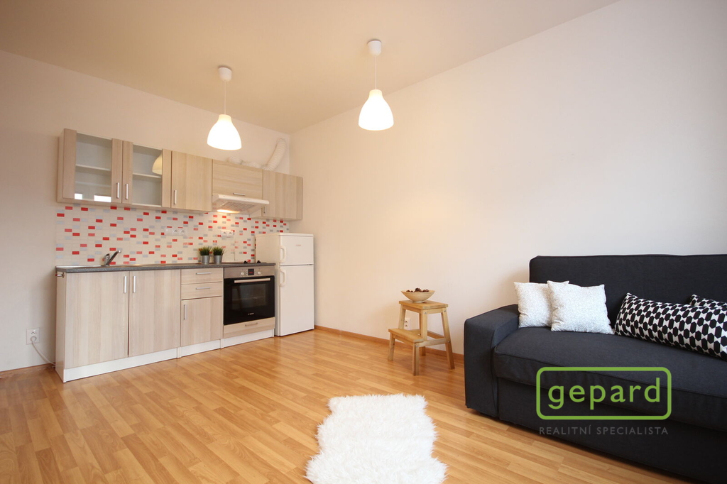 Obytný pokoj s kuchyňskou linkou