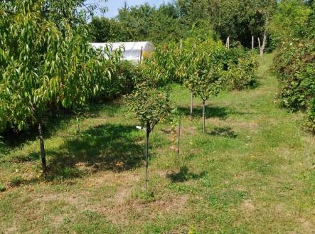 10e3c2a5-8b0d-4d70-b62e-a46a84a7e5a7.jpg | Prodej - pozemek pro bydlení, 409 m²