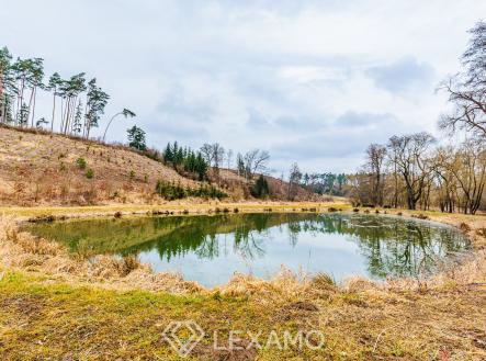 2R6_0074 | Prodej - pozemek, ostatní, 11 304 m²