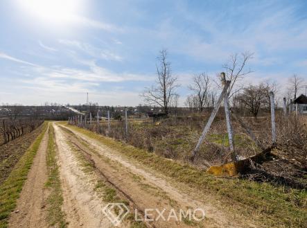 2R6_0005 | Pronájem - pozemek, zahrada, 1 217 m²