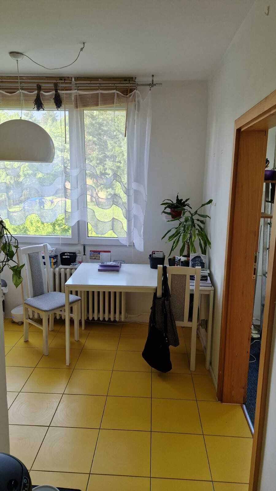 Pronájem bytu 4+1+lodžie ve vyhledávané a klidné lokalitě v Ústí nad Labem - Severní terasa