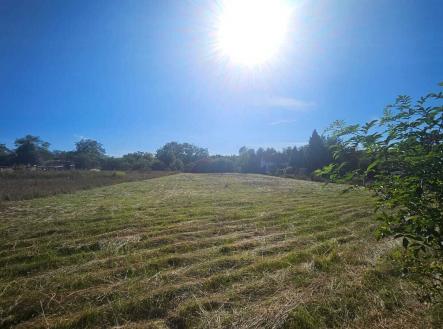 Prodej - pozemek, zahrada, 1 664 m²