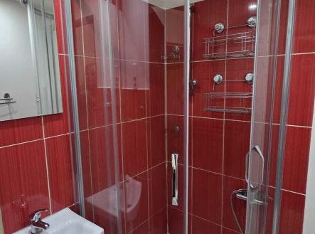 Pronájem bytu, 2+1, 53 m²