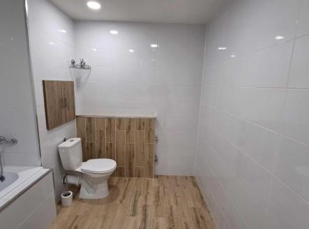 Pronájem bytu, 3+1, 55 m²