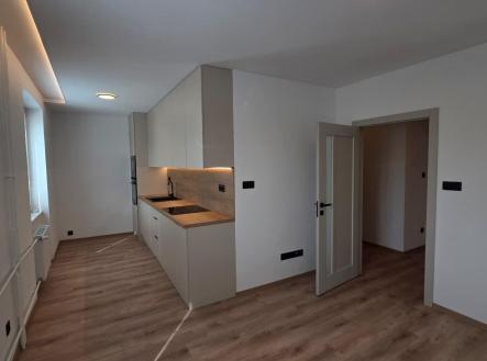 Pronájem bytu, 2+1, 53 m²