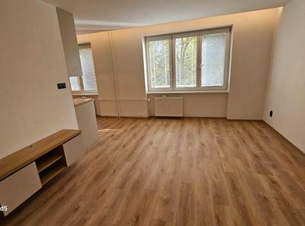 Pronájem bytu, 2+1, 53 m²