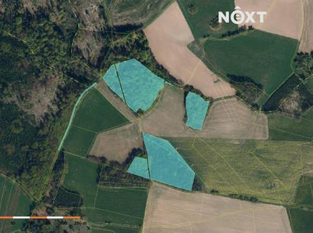 Prodej - pozemek, les, 41 070 m²