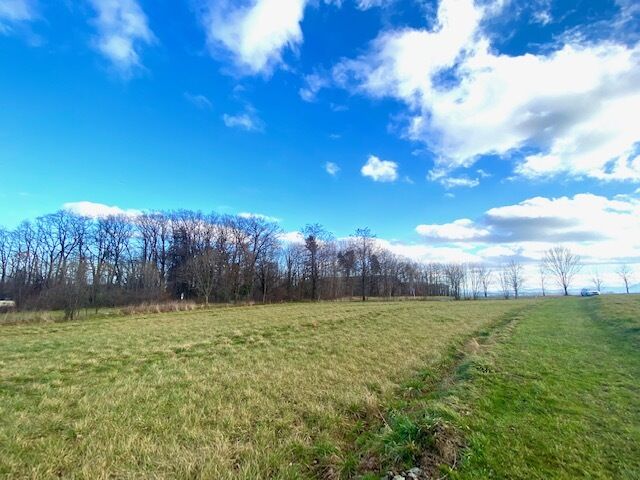 Nabízím k prodeji lukrativní pozemek v lokalitě Bílý Potok u Javorníka.