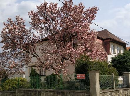 Prodej - dům/vila, 200 m²