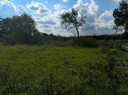 Prodej - pozemek pro bydlení, 2 750 m²