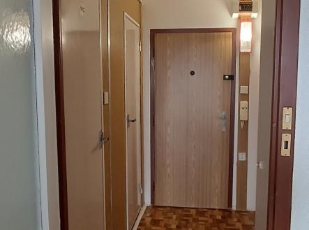 IMG_4238 | Pronájem bytu, 1+kk, 29 m²