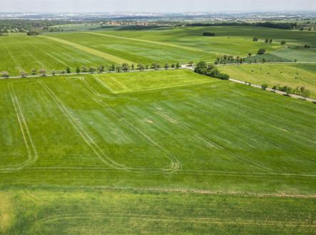 . | Prodej - pozemek pro bydlení, 1 010 m²