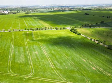 . | Prodej - pozemek pro bydlení, 1 010 m²