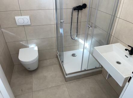 A7C4CA90-C4CA-4F19-9135-72ECDA4A1D56 | Pronájem bytu, 1+kk, 28 m²