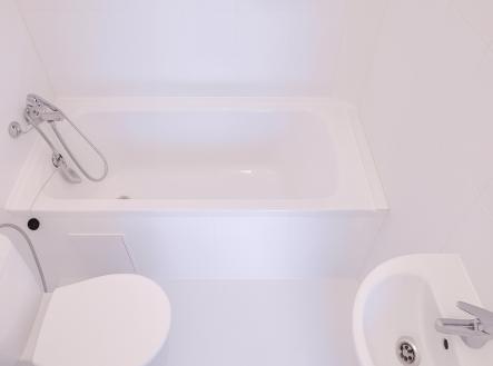 chatgpt-image-30.11.2025-15-08-00.png | Pronájem bytu, 1+kk, 25 m²