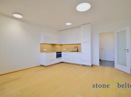 6a2a3541.jpg | Pronájem bytu, 1+kk, 36 m²