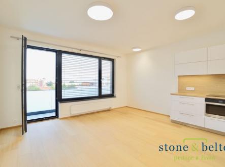 6a2a3556.jpg | Pronájem bytu, 1+kk, 36 m²