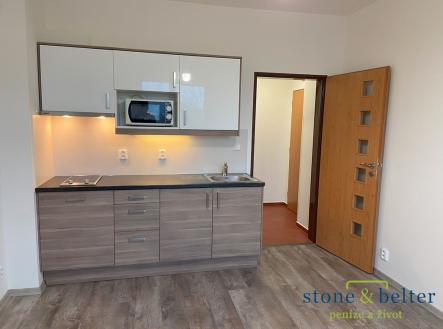 Pronájem bytu, 1+kk, 20 m² obrázek