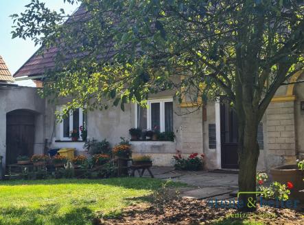 20250818-bozanov-finalni-vyber-pro-inzerci-002.jpg | Prodej - zemědělský objekt, 13 366 m²