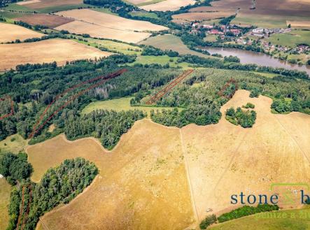 laby-oblasti-2.jpg | Prodej - pozemek, les, 45 954 m²