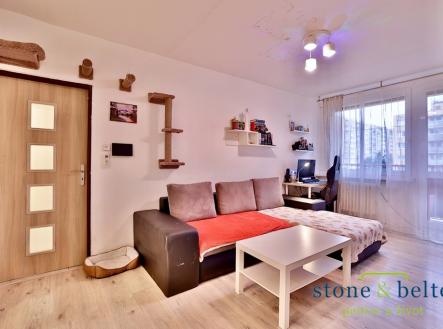 2-kk-smotlachova-obyvak-iii.jpg | Prodej bytu, 2+kk, 49 m²