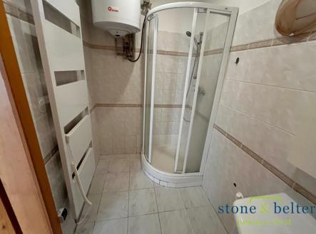 Koupelna se sprchovým koutem | Pronájem bytu, 1+1, 48 m²