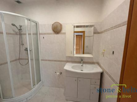 Koupelna se sprchovým koutem | Pronájem bytu, 1+1, 48 m²