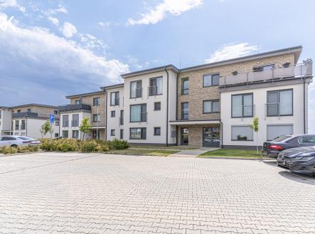 Prodej bytu, 1+kk, 1 919 m²