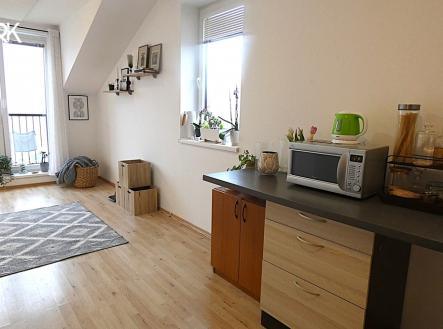 p1060224.jpg | Pronájem bytu, 1+kk, 834 m²