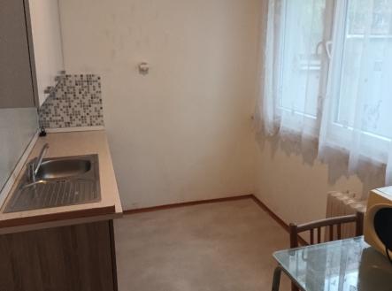 img-20240613-154704345.jpg | Prodej bytu, 1+1, 25 m²